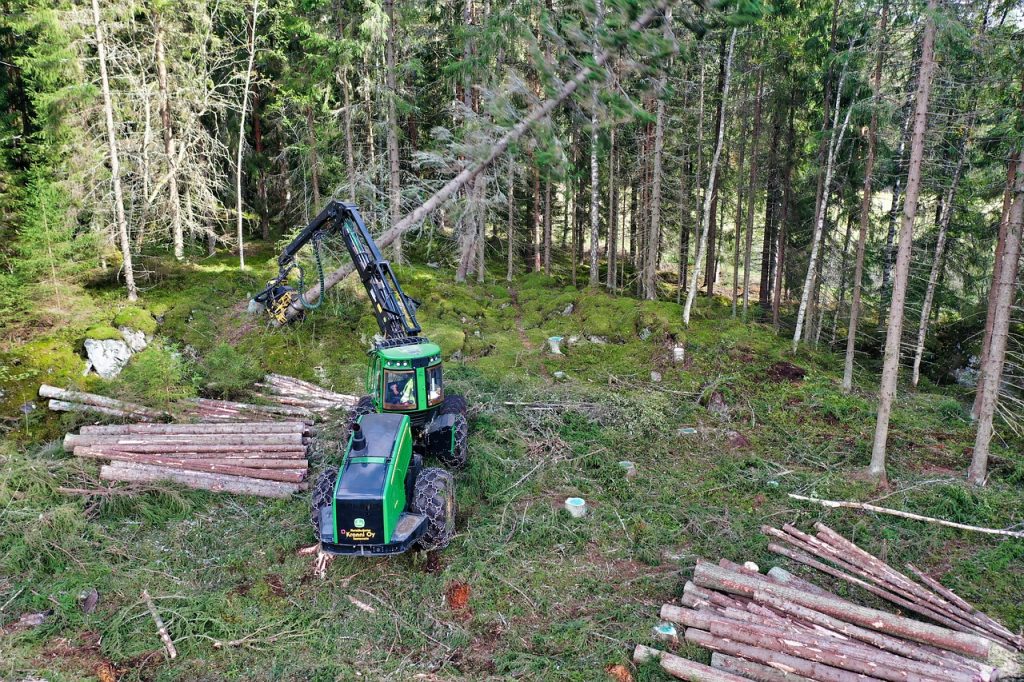 Exploitation de bois France